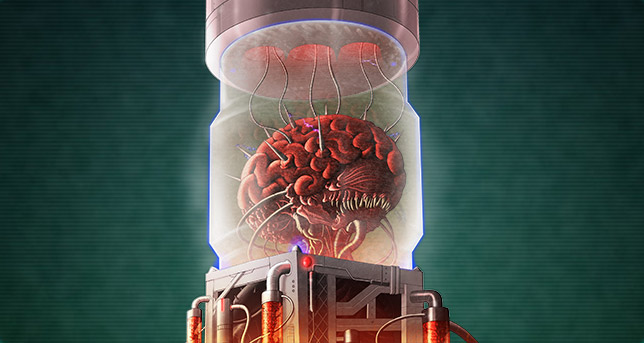 Mother Brain (container)