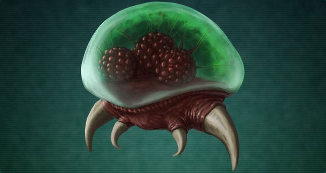 Metroid (larva)